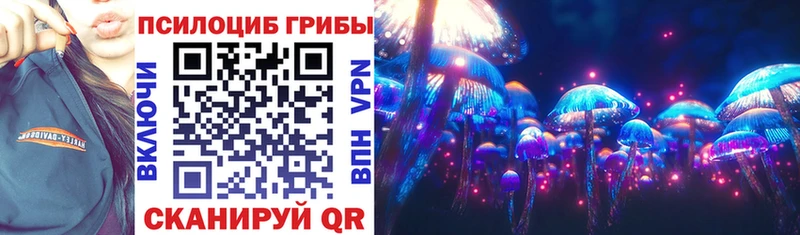 Псилоцибиновые грибы MAGIC MUSHROOMS  KRAKEN как войти  Гвардейск 